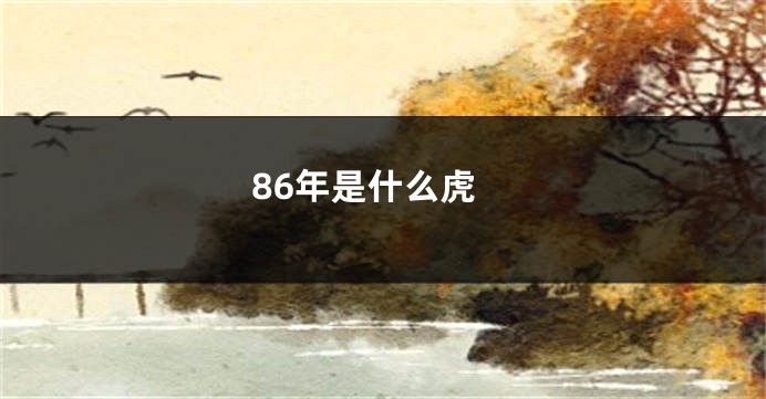 86年是什么虎