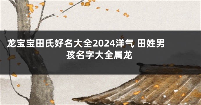 龙宝宝田氏好名大全2024洋气 田姓男孩名字大全属龙