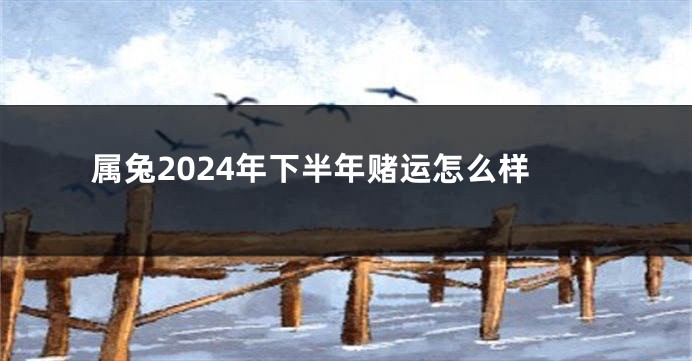 属兔2024年下半年赌运怎么样