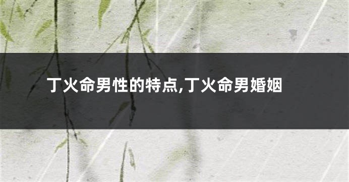 丁火命男性的特点,丁火命男婚姻