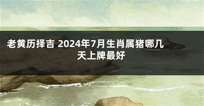 老黄历择吉 2024年7月生肖属猪哪几天上牌最好