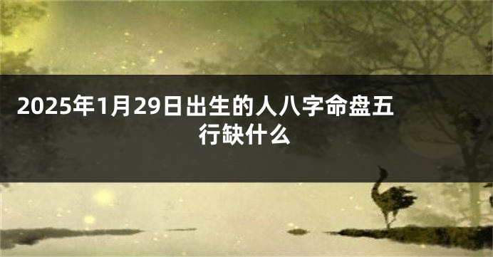 2025年1月29日出生的人八字命盘五行缺什么