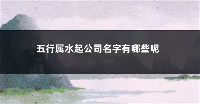 五行属水起公司名字有哪些呢