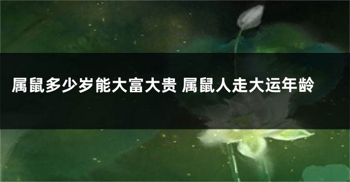属鼠多少岁能大富大贵 属鼠人走大运年龄