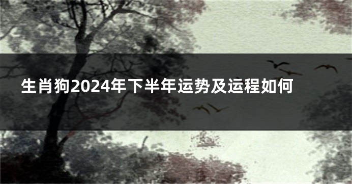 生肖狗2024年下半年运势及运程如何