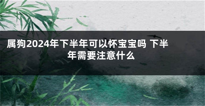 属狗2024年下半年可以怀宝宝吗 下半年需要注意什么