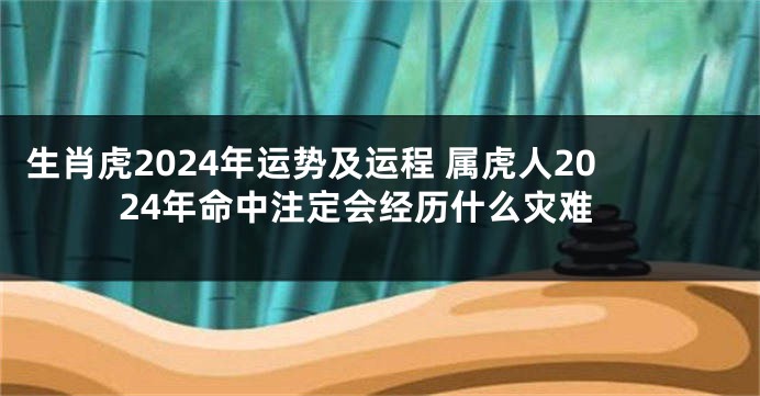 生肖虎2024年运势及运程 属虎人2024年命中注定会经历什么灾难