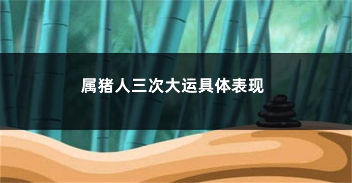 属猪人三次大运具体表现
