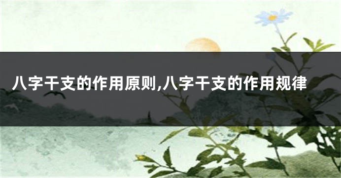 八字干支的作用原则,八字干支的作用规律