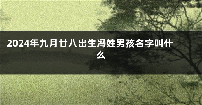 2024年九月廿八出生冯姓男孩名字叫什么