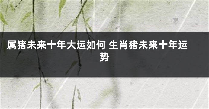 属猪未来十年大运如何 生肖猪未来十年运势