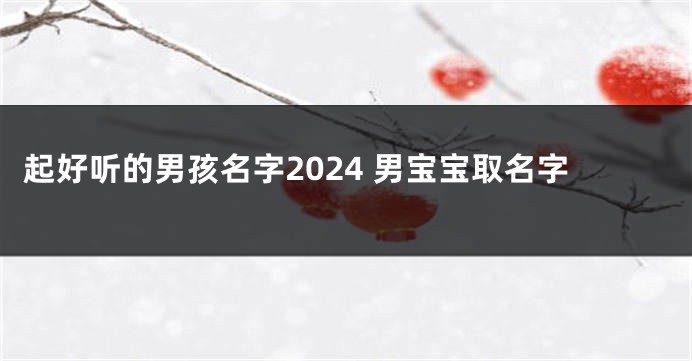 起好听的男孩名字2024 男宝宝取名字