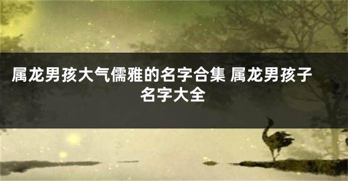 属龙男孩大气儒雅的名字合集 属龙男孩子名字大全
