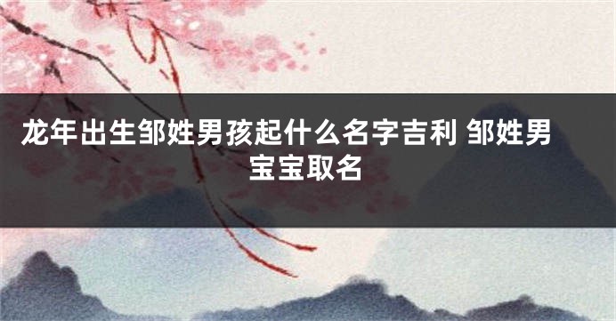 龙年出生邹姓男孩起什么名字吉利 邹姓男宝宝取名