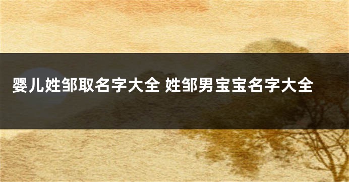 婴儿姓邹取名字大全 姓邹男宝宝名字大全