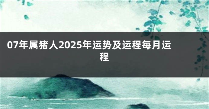 07年属猪人2025年运势及运程每月运程
