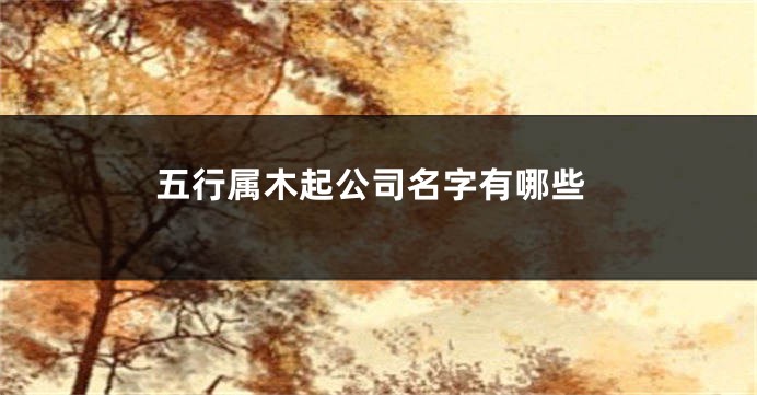 五行属木起公司名字有哪些