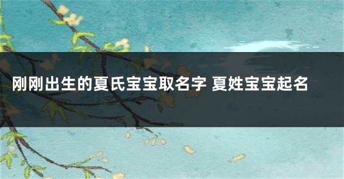 刚刚出生的夏氏宝宝取名字 夏姓宝宝起名