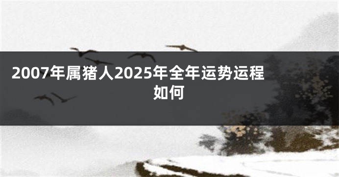 2007年属猪人2025年全年运势运程如何