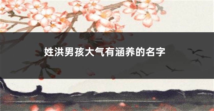 姓洪男孩大气有涵养的名字