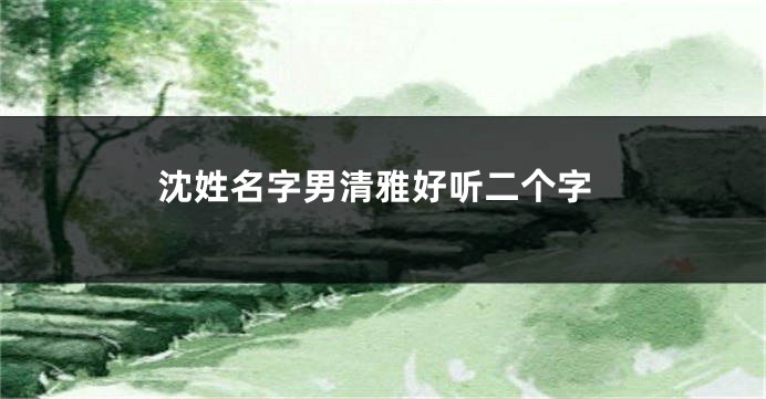 沈姓名字男清雅好听二个字
