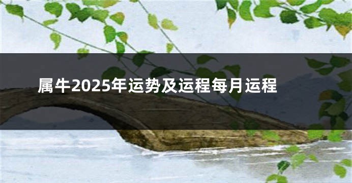 属牛2025年运势及运程每月运程