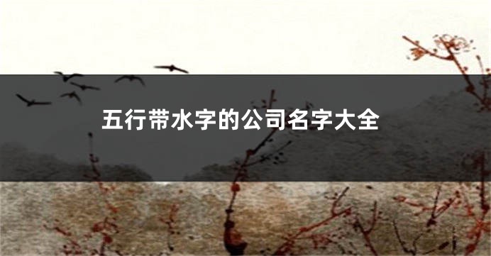 五行带水字的公司名字大全