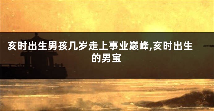 亥时出生男孩几岁走上事业巅峰,亥时出生的男宝