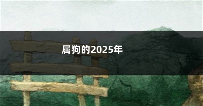 属狗的2025年