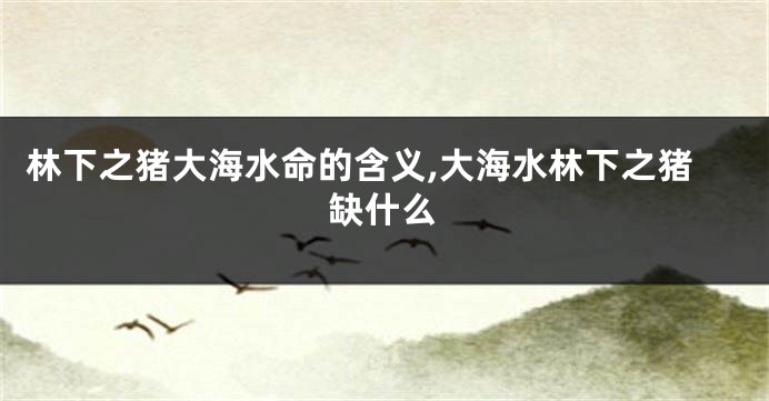 林下之猪大海水命的含义,大海水林下之猪缺什么