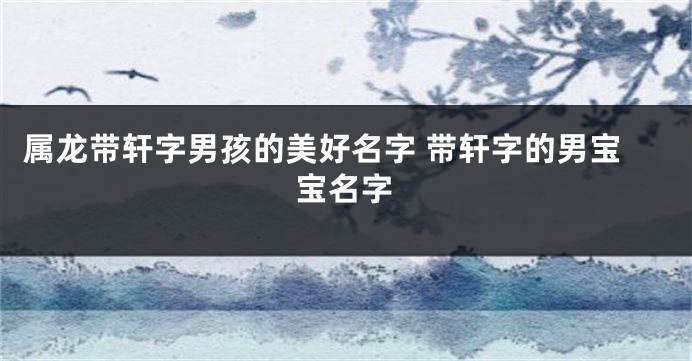 属龙带轩字男孩的美好名字 带轩字的男宝宝名字