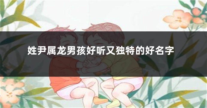 姓尹属龙男孩好听又独特的好名字