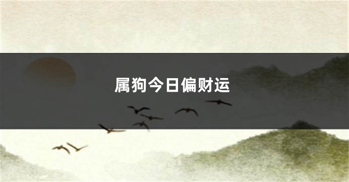 属狗今日偏财运