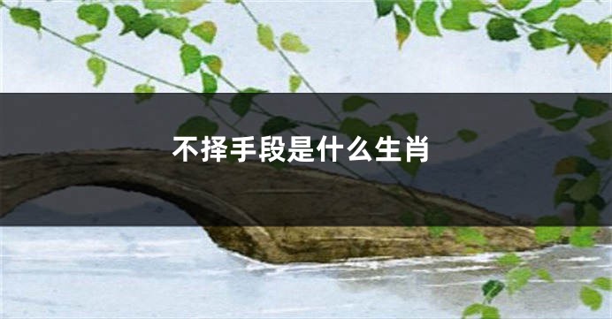 不择手段是什么生肖