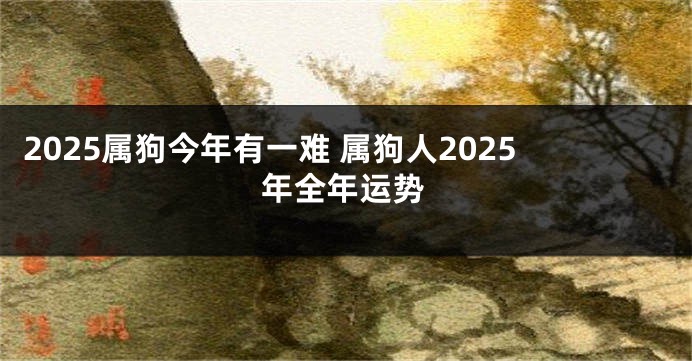 2025属狗今年有一难 属狗人2025年全年运势