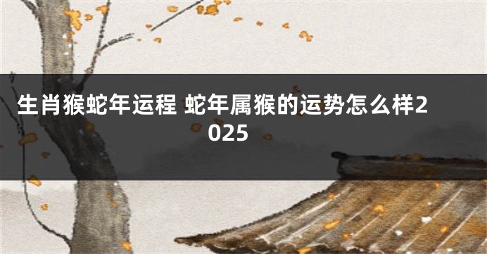 生肖猴蛇年运程 蛇年属猴的运势怎么样2025
