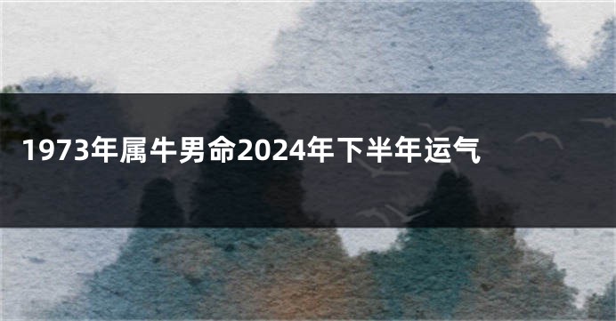 1973年属牛男命2024年下半年运气