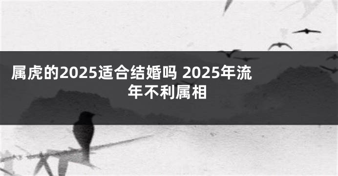 属虎的2025适合结婚吗 2025年流年不利属相