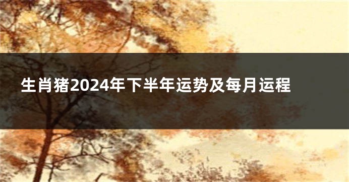 生肖猪2024年下半年运势及每月运程