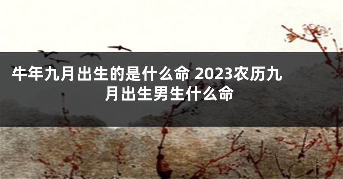 牛年九月出生的是什么命 2023农历九月出生男生什么命