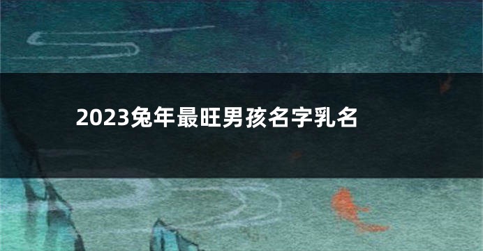 2023兔年最旺男孩名字乳名
