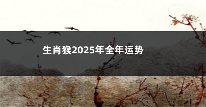 生肖猴2025年全年运势