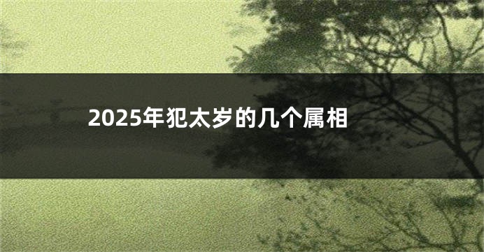 2025年犯太岁的几个属相