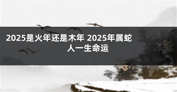 2025是火年还是木年 2025年属蛇人一生命运