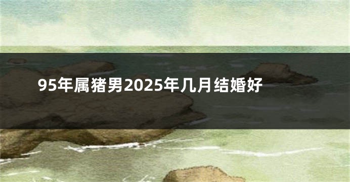 95年属猪男2025年几月结婚好