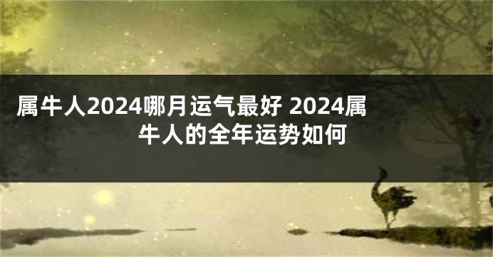属牛人2024哪月运气最好 2024属牛人的全年运势如何