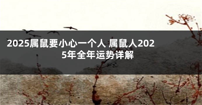 2025属鼠要小心一个人 属鼠人2025年全年运势详解