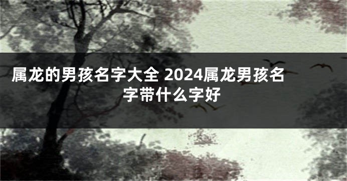 属龙的男孩名字大全 2024属龙男孩名字带什么字好