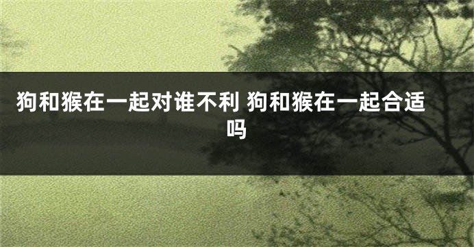 狗和猴在一起对谁不利 狗和猴在一起合适吗