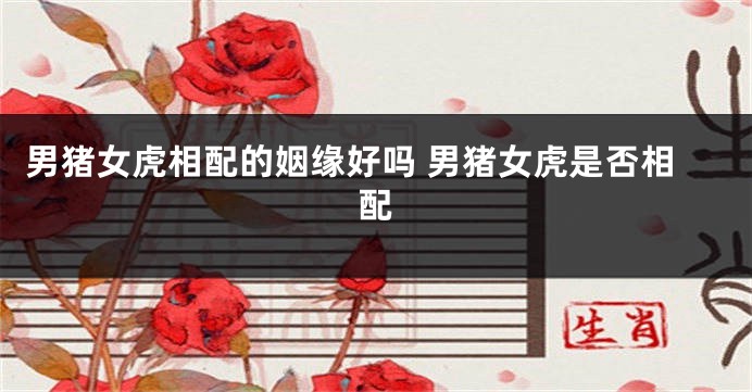 男猪女虎相配的姻缘好吗 男猪女虎是否相配